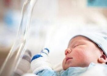 إحصائية المواليد والوفيات في قطاع غزة خلال أغسطس الماضي