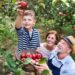 3 Ways Heat Will Affect Apple Picking Season This Fall, Warn Farmers 17 3 Ways Heat Will Affect Apple Picking Season This Fall, Warn Farmers