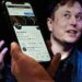 Elon Musk dissout le conseil d’administration de Twitter