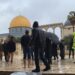 عدد من المستوطنين يقتحمون المسجد الأقصى بحماية مشددة 97 عدد من المستوطنين يقتحمون المسجد الأقصى بحماية مشددة