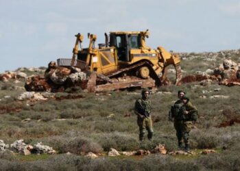 تجريف أراضي