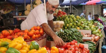 قائمة بأسعار الخضروات واللحوم في غزة 32 خضار - أسواق غزة