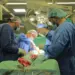 نجاح أول عملية زراعة مفصل في مجمع الشفاء 97 عملية جراحية