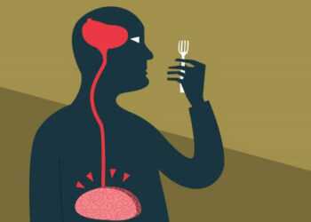 منطقة في الدماغ قد تسبب «جوعاً لا ينتهي»