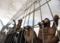 10 Prisoners continue their open-ended hunger strike 20 10 Prisoners continue their open-ended hunger strike