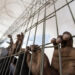 10 Prisoners continue their open-ended hunger strike 18 10 Prisoners continue their open-ended hunger strike