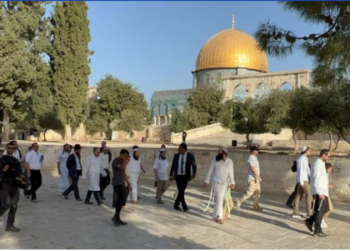 عشرات المستوطنين يقتحمون المسجد الأقصى صباح اليوم