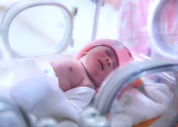 مواليد - غزة