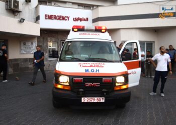 البدء بإرسال رسائل المنحة القطرية للأسر المتعففة في غزة