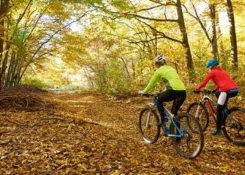 رسميًا فصل الخريف يعلن انتهاء أكثر الأعوام حرارة اليوم