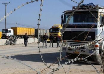 كرم ابو سالم