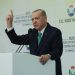 أردوغان: علينا تعزيز قوتنا لردع إسرائيل في فلسطين 99 أردوغان: علينا تعزيز قوتنا لردع إسرائيل في فلسطين
