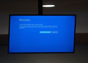 هيئات الرقابة السيبرانية العالمية تحذر من الاحتيالات بعد خلل “كراود سترايك”