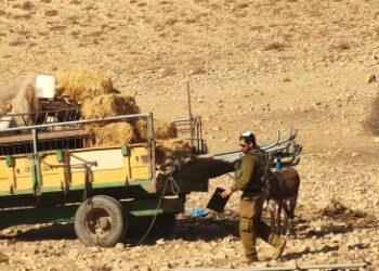 الاحتلال يواصل اعتداءاته على المواطنين وممتلكاتهم في الاغوار