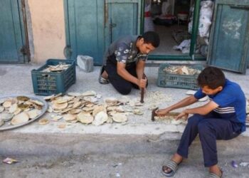 أصحاب المخابز: المخابز مغلقة ولا بديل عن المعابر لإدخال المساعدات