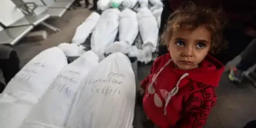 مجازر المساعدات مستمرة: 49 شهيدًا و305 جرحى في رفح وجسر وادي غزة