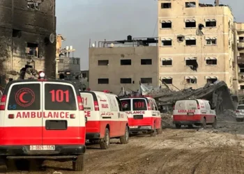 د. أحمد الفرا: نعيش كارثة صحية حقيقية بمجمع ناصر وخطورة الوضع تتفاقم