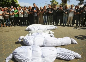 3 شهداء و35 مصابا برصاص الاحتلال قرب مركز المساعدات برفح