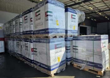 الإمارات تعلن وصول سفينة جديدة تحمل 2500 طن من المساعدات لغزة