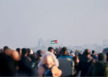 خطة أورورا: تهجير الفلسطينيين من غزة مقابل 9000 دولار للفرد