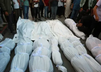 شهداء في مجزرة بالمخيم الجديد بالنصيرات وسط قطاع غزة