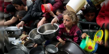 الأمم المتحدة: منظومة الغذاء في غزة تعاني انهيارًا شاملًا