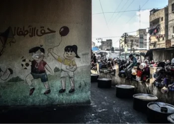 خلال 24 ساعة.. تسجيل 14 حالة وفاة جديدة نتيجة المجاعة وسوء التغذية بغزة