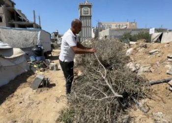 معاريف: الجيش الإسرائيلي يعترف بتواطئه مع “فتيان التلال” في استهداف الفلسطينيين