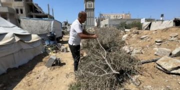 معاريف: الجيش الإسرائيلي يعترف بتواطئه مع “فتيان التلال” في استهداف الفلسطينيين 1 معاريف: الجيش الإسرائيلي يعترف بتواطئه مع “فتيان التلال” في استهداف الفلسطينيين