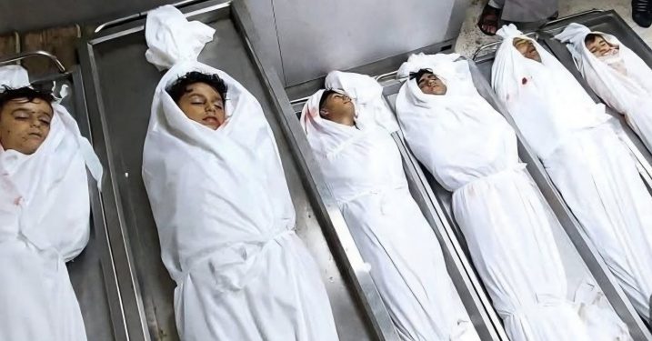 1000338075 1748096915