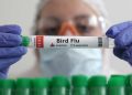 الولايات المتحدة.. أول حالة وفاة بسبب سلالة نادرة من إنفلونزا الطيور