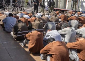 إعلام الأسرى: جنين تتصدر الاستهداف في سجون الاحتلال ضمن سياسة عقاب جماعي ممنهجة