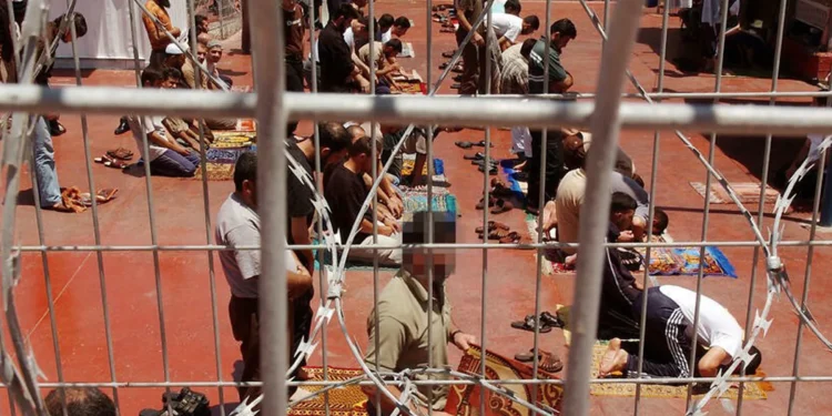 نادي الأسير: جميع الأسرى المفرج عنهم يعانون من مشكلات صحيّة ونفسيّة 96 والانتهاكات