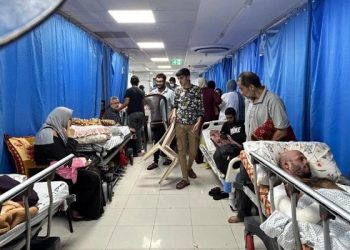 البرش: نعاني نقصا شديدا في الدواء والغذاء