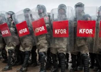 من يحكم سلاح غزة؟ شرطة جديدة وقوة استقرار بـ20 ألف جندي