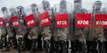 من يحكم سلاح غزة؟ شرطة جديدة وقوة استقرار بـ20 ألف جندي