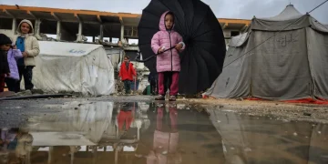 رابط تسجيل الشوادر وترميم الخيم – مؤسسة معًا في قطاع غزة 1 رابط تسجيل الشوادر وترميم الخيم – مؤسسة معًا في قطاع غزة